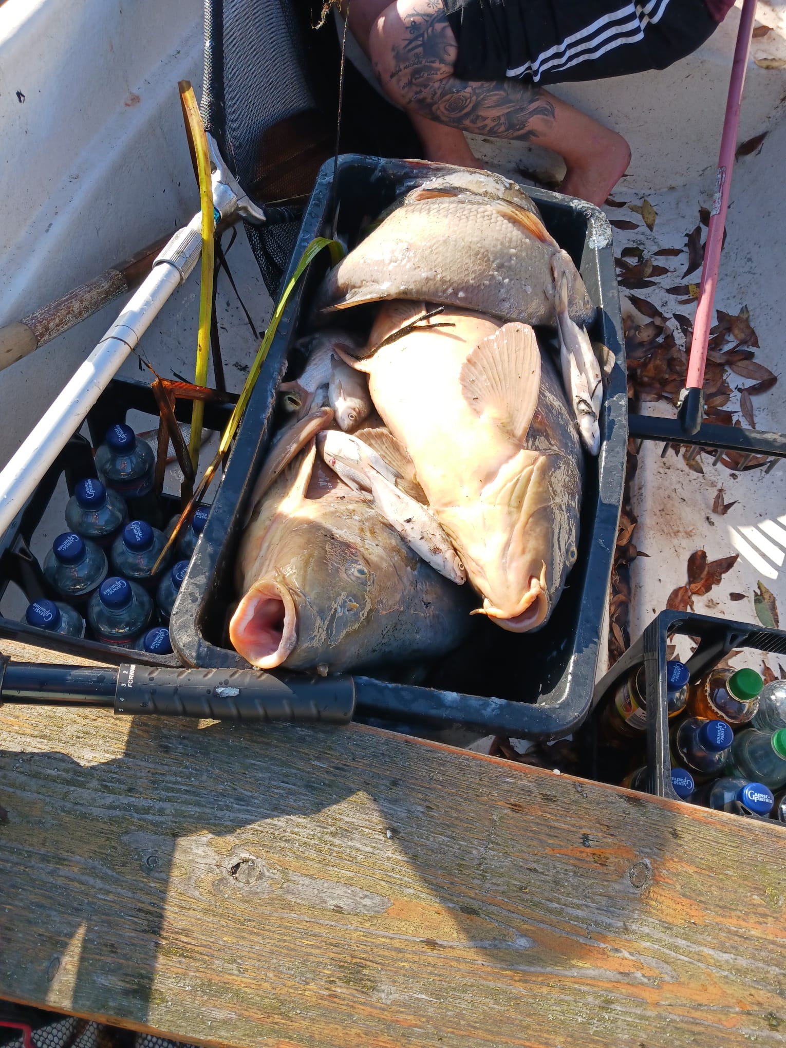 Sauerstoffmangel 2023